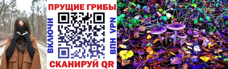 Галлюциногенные грибы Psilocybe  Купить где  Грязовец 